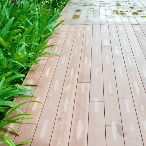 Is Trex Slippery When Wet? Truth and Myths Revealed